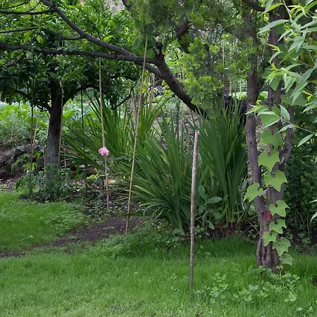 Casa Macchia Villa Giarre Exterior photo