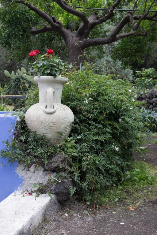 Casa Macchia Holiday home Giarre
