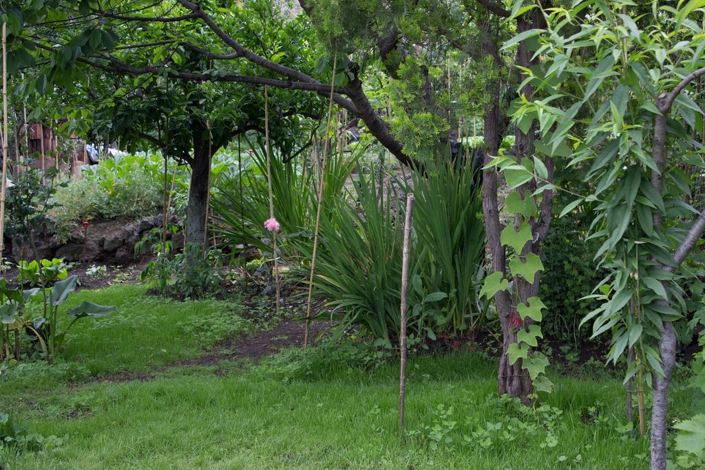 Casa Macchia Holiday home Giarre